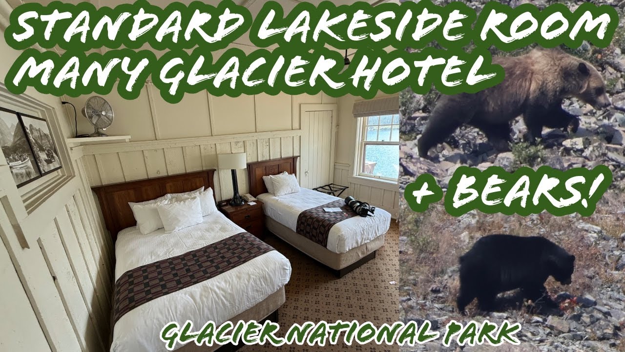 Standard Lakeside Room Tour at Many Glacier Hotel + Viewing Grizzly Bears! Glacier National Park, MT