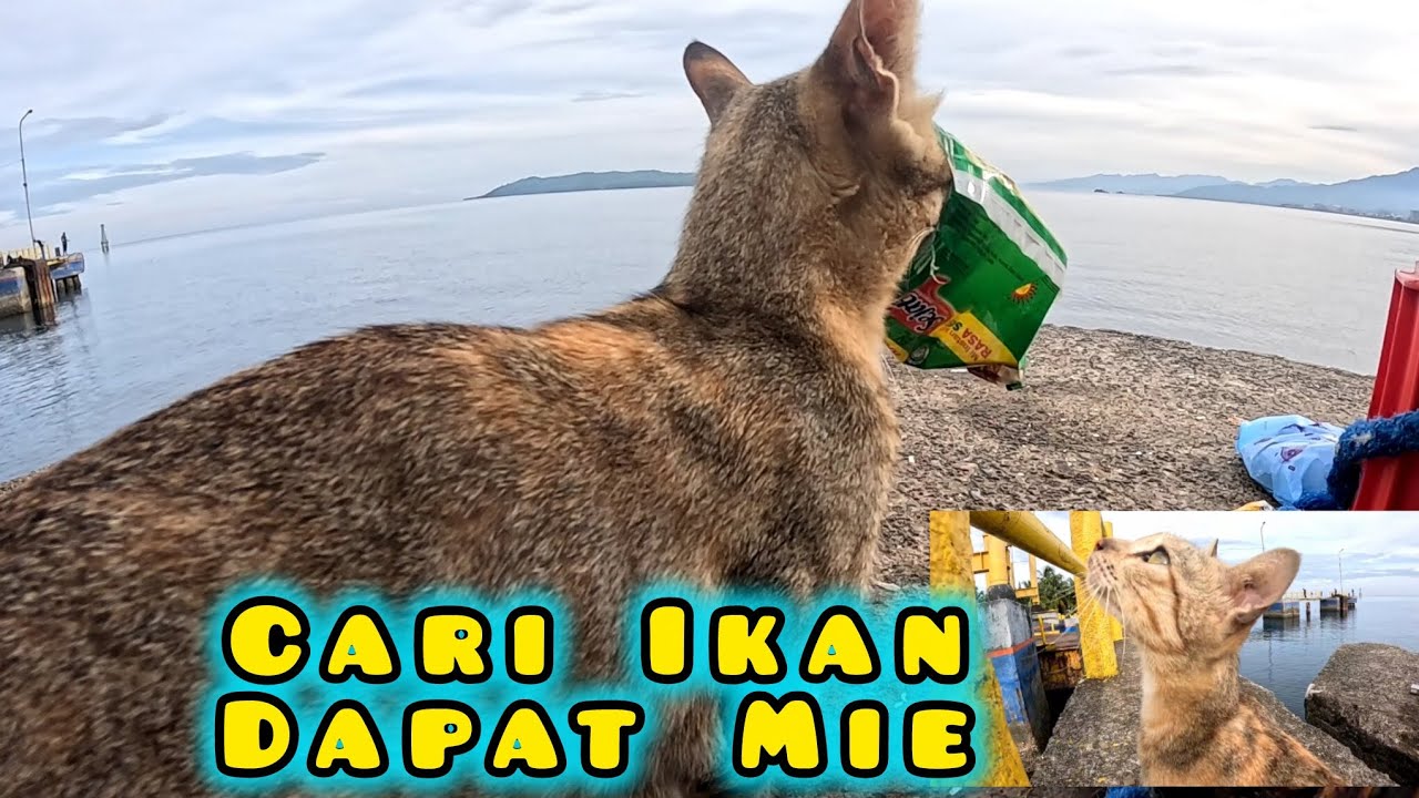 Cari Pemancing Minta Ikan Tapi Sepi 