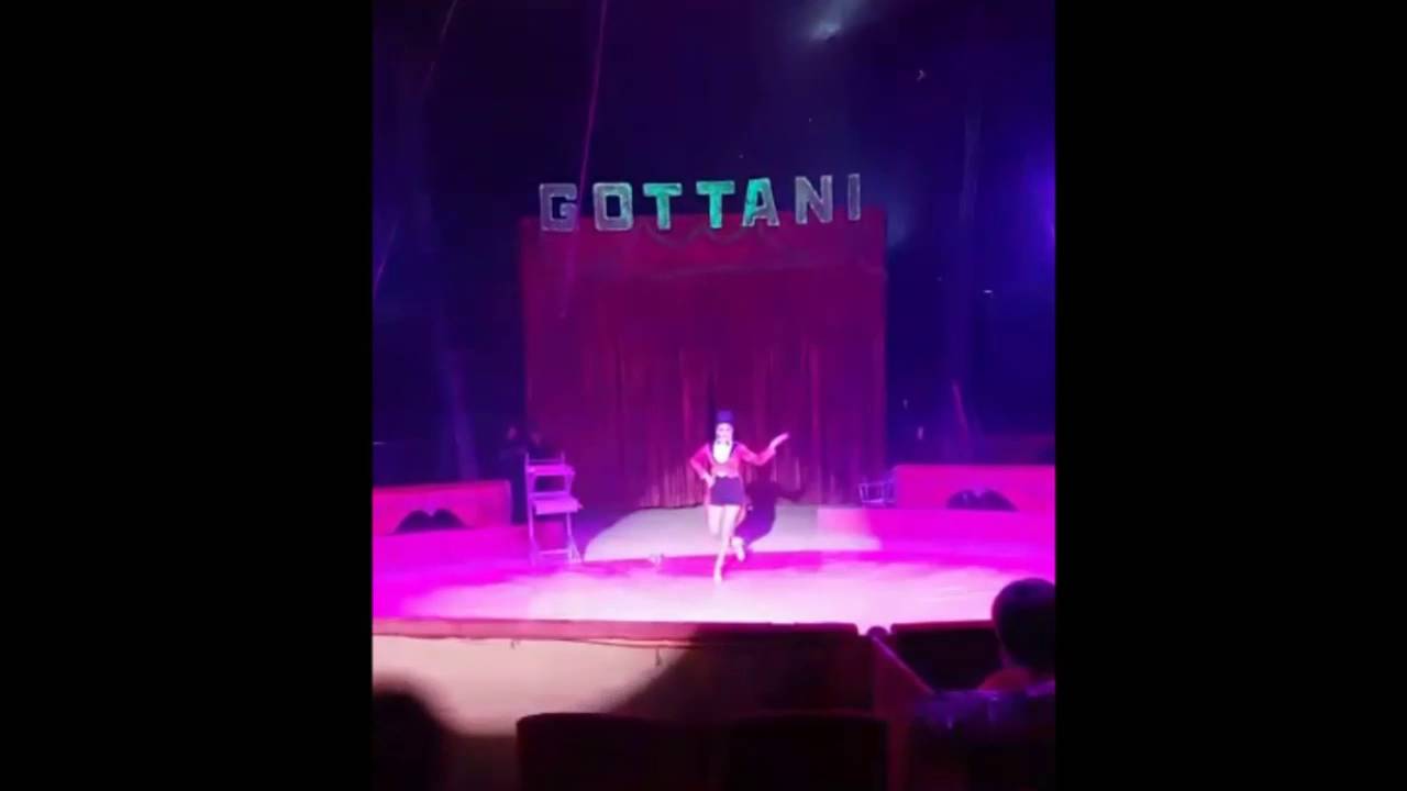 Luana Cayres - Hair Hang Act