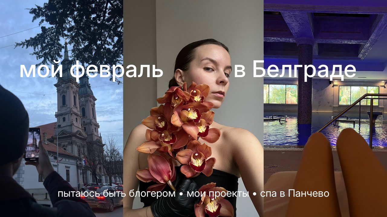68. мой февраль | становлюсь блогером | моя работа | спа в Панчево
