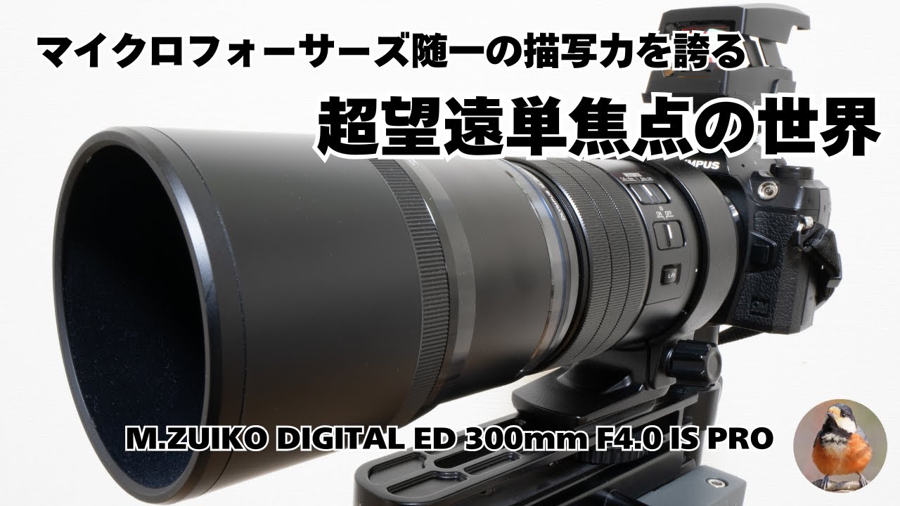 マイクロフォーサーズ随一の描写力を誇る超望遠単焦点レンズの世界 / M.ZUIKO DIGITAL ED 300mm F4.0 IS PRO / OM SYSTEM OLYMPUS