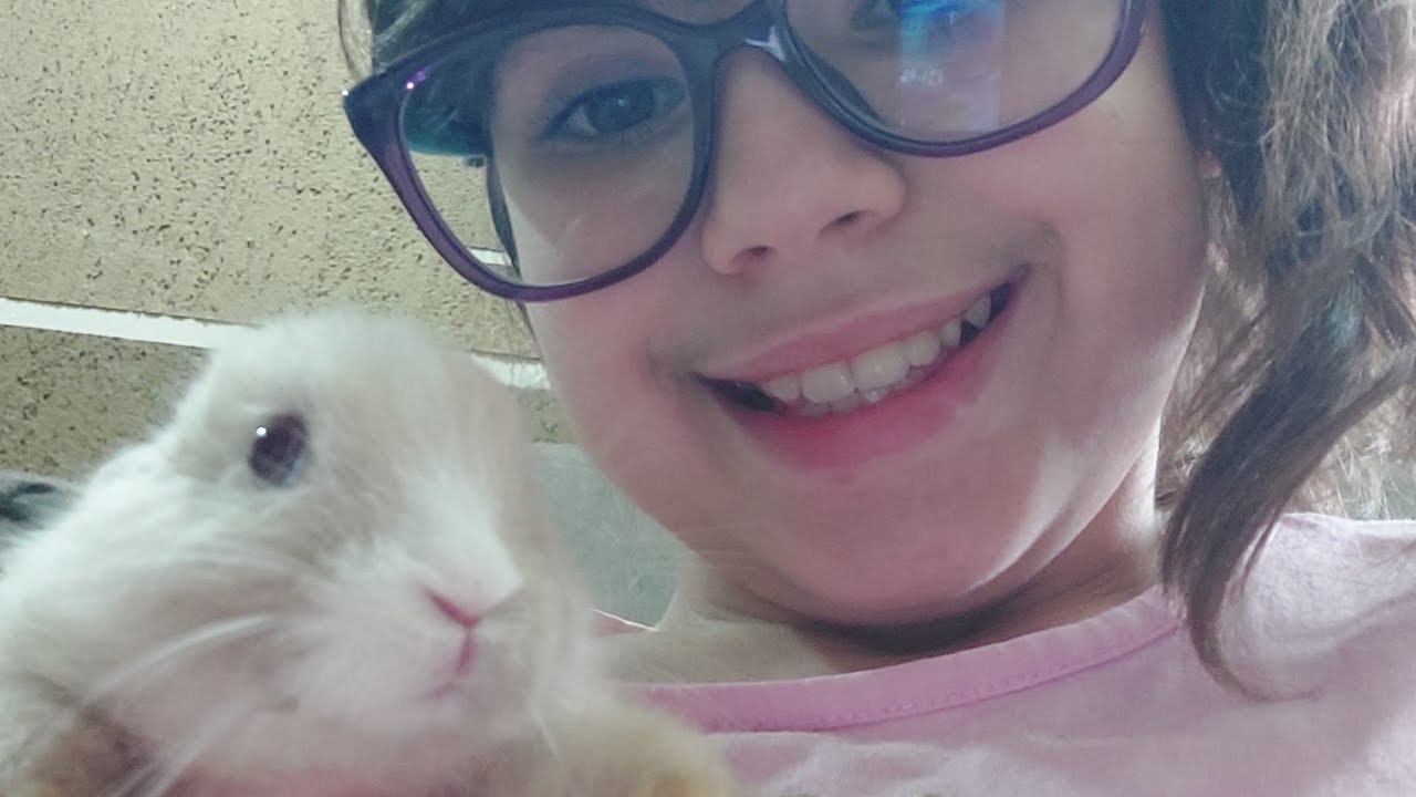 Conhecendo um casal de coelhos 🐇 