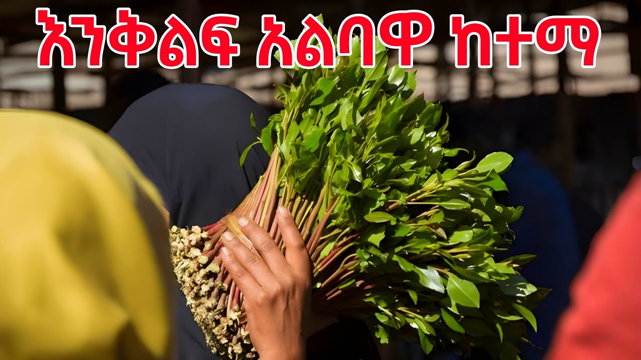 24 ሰዓት ሚሰራበት ከተማ | City That Never Sleeps | Awaday city