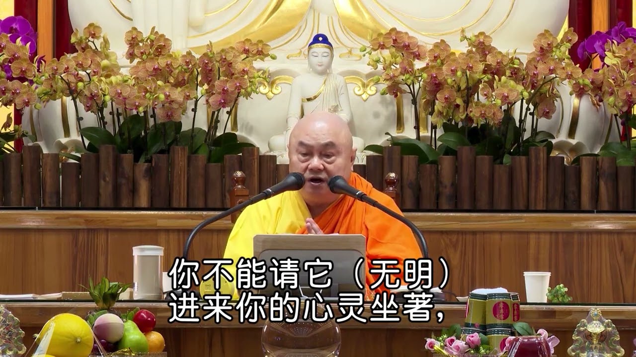 1-1 圆觉经(4)