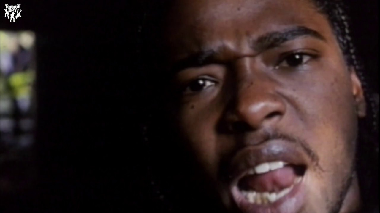 Tommy Boy Records: Naughty By Nature (Video Mix)
