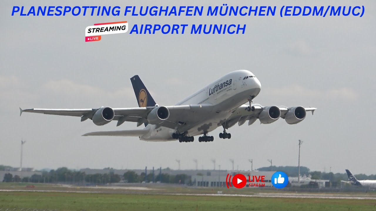 Live Planespotting München Airport Munich (EDDM/MUC) #munich #live #livestream #airport #aviation