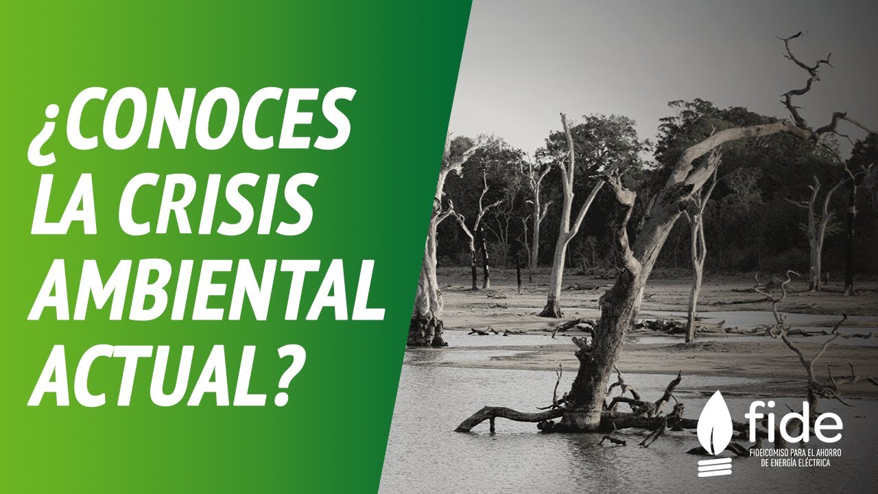 ¿Conoces la crisis ambiental actual?