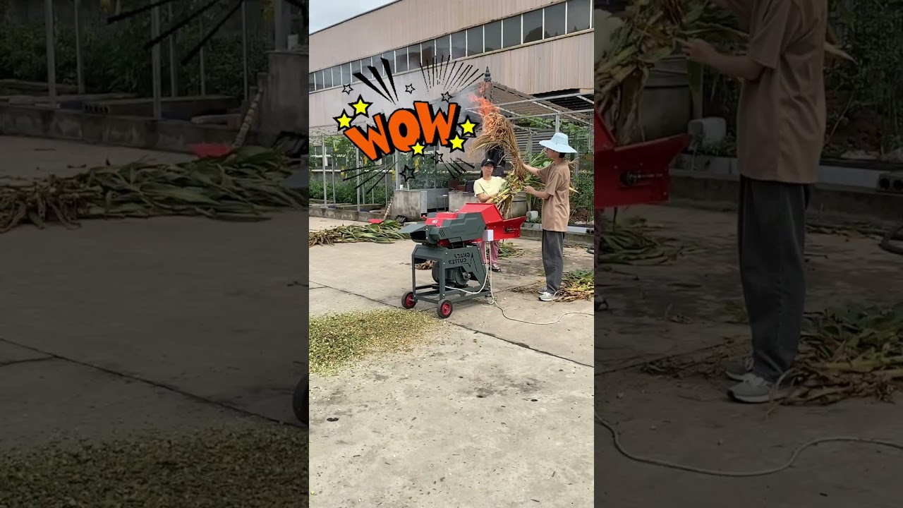 Always jamming on wet forage?This new chaff cutter eats wetgrass like a pro&mdash;no clogging#chaffcutter