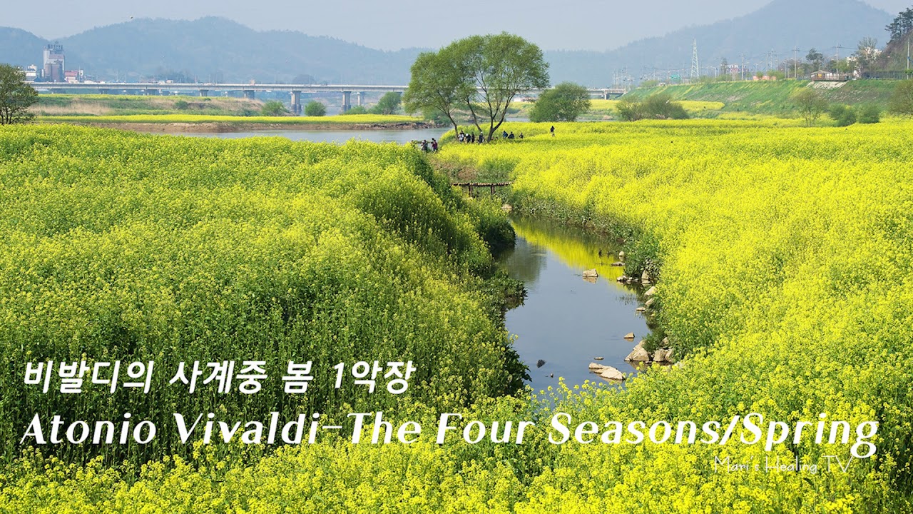 비발디 사계중 봄 1악장