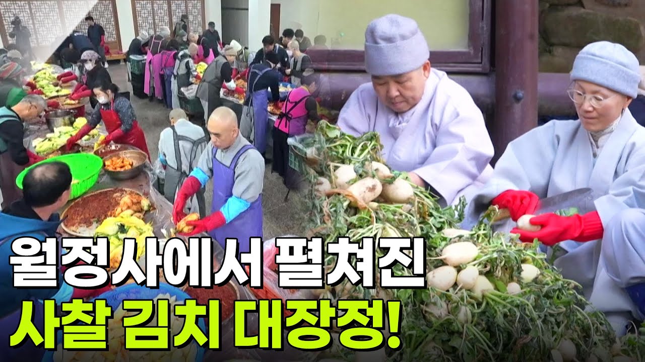 新VJ특공대: 천 년 고찰 월정사 김장하는 날 [2TV 생생정보] | KBS 251105 방송