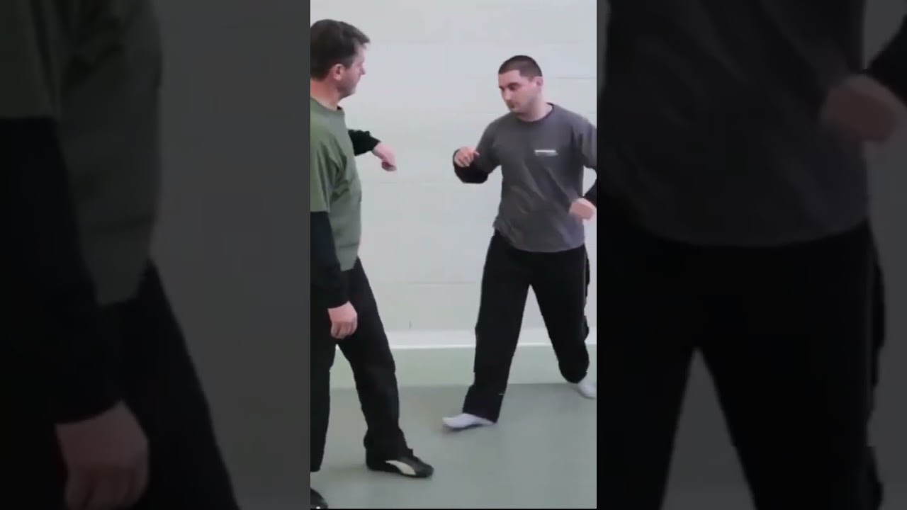 Vladimir Vasiliev - Systema - Combat System