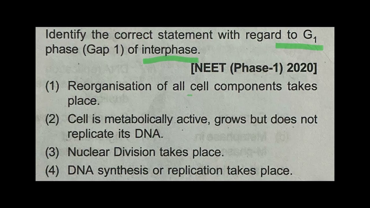 NEET cell cycle…most imp 10 year PYQ in 10 minutes 🔥🔥