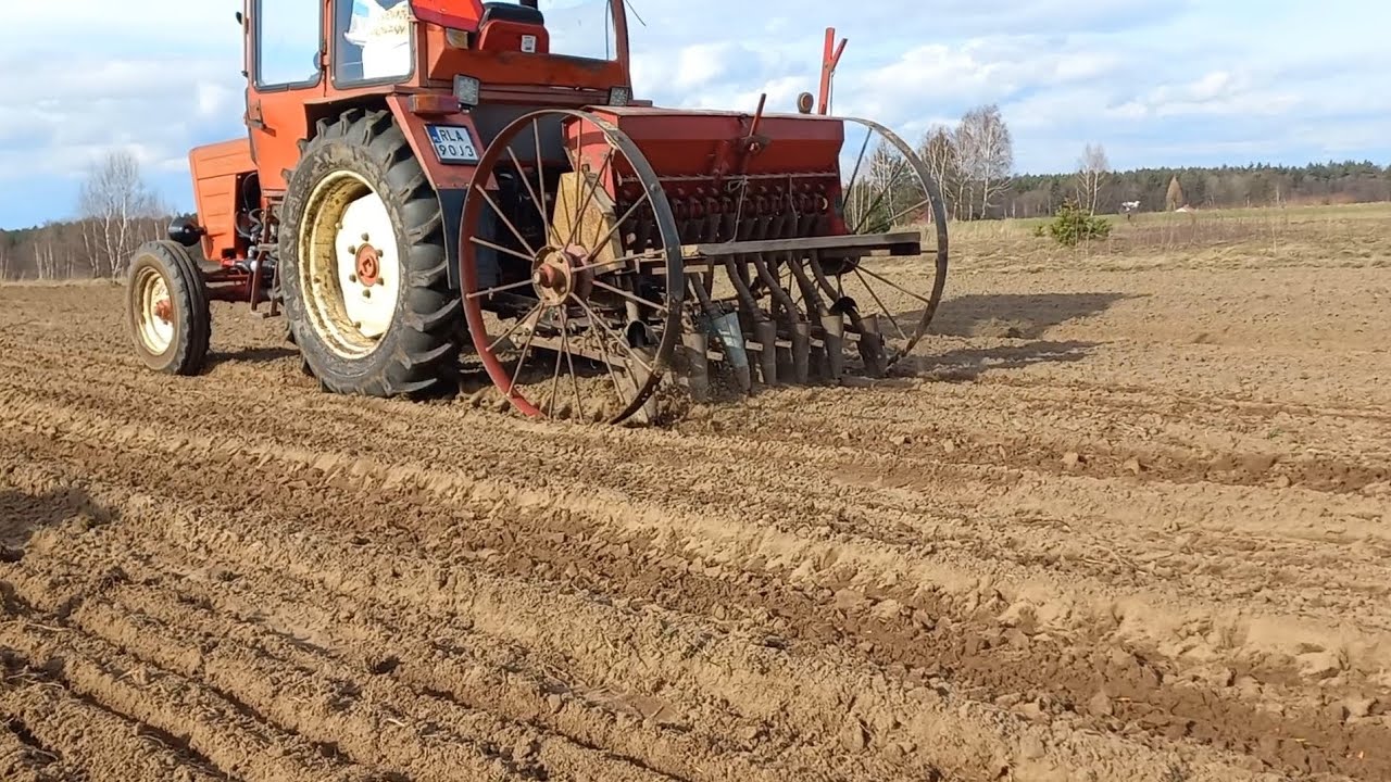 Władimirec T25 - Siew owsa