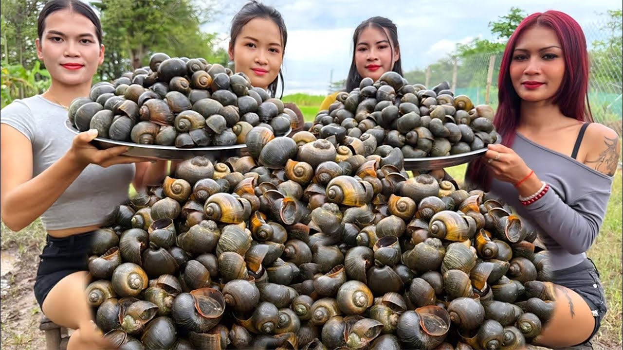 How to Cook and wash snail recipe in my countryside