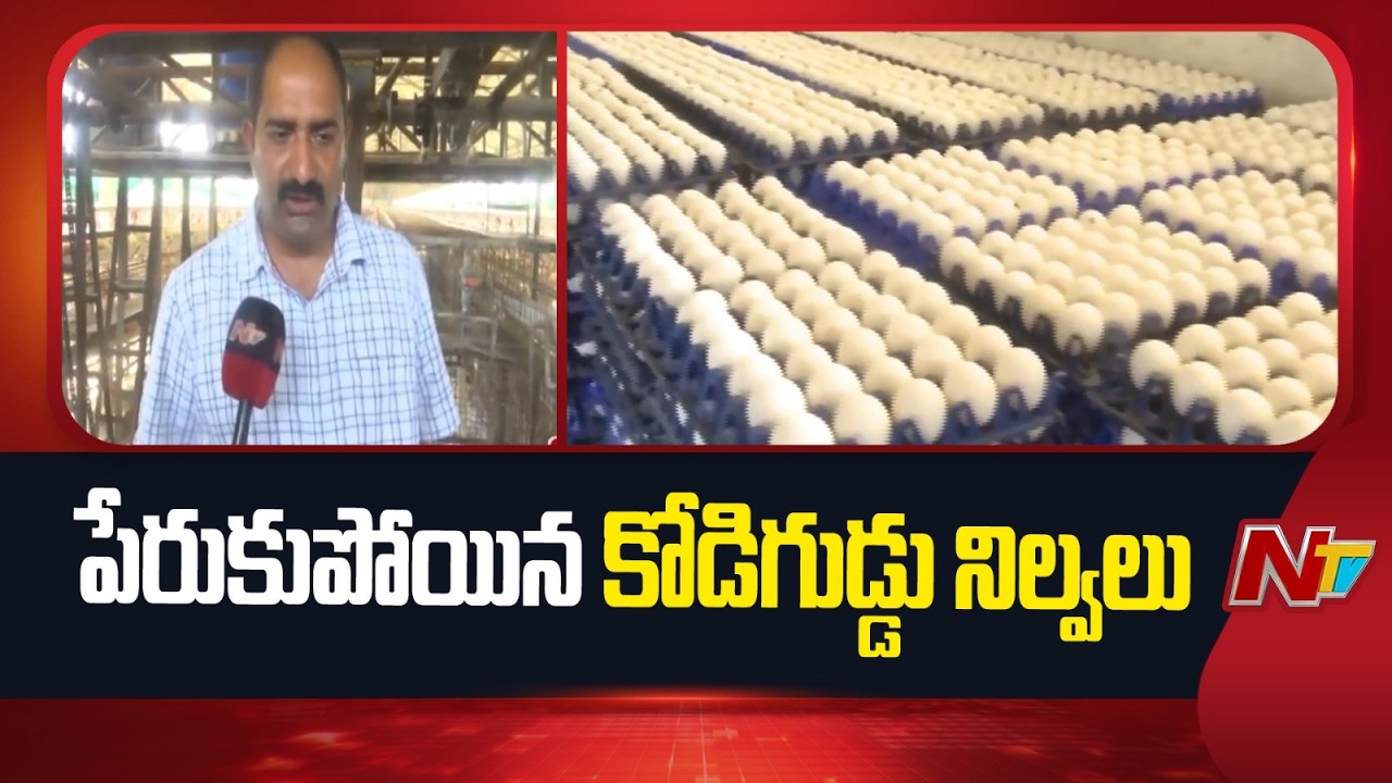 Middle East War Halts Egg Exports from Khammam | NTV Telugu