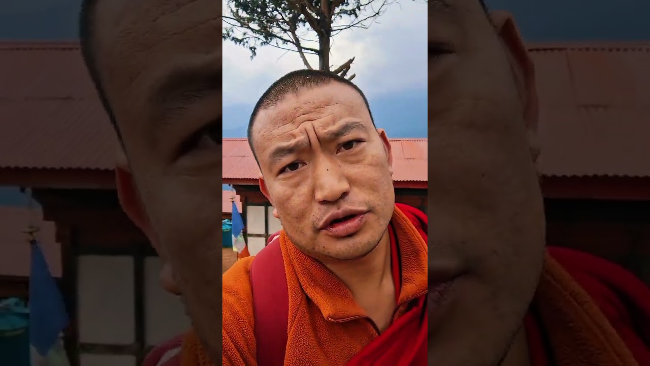 my vlog 