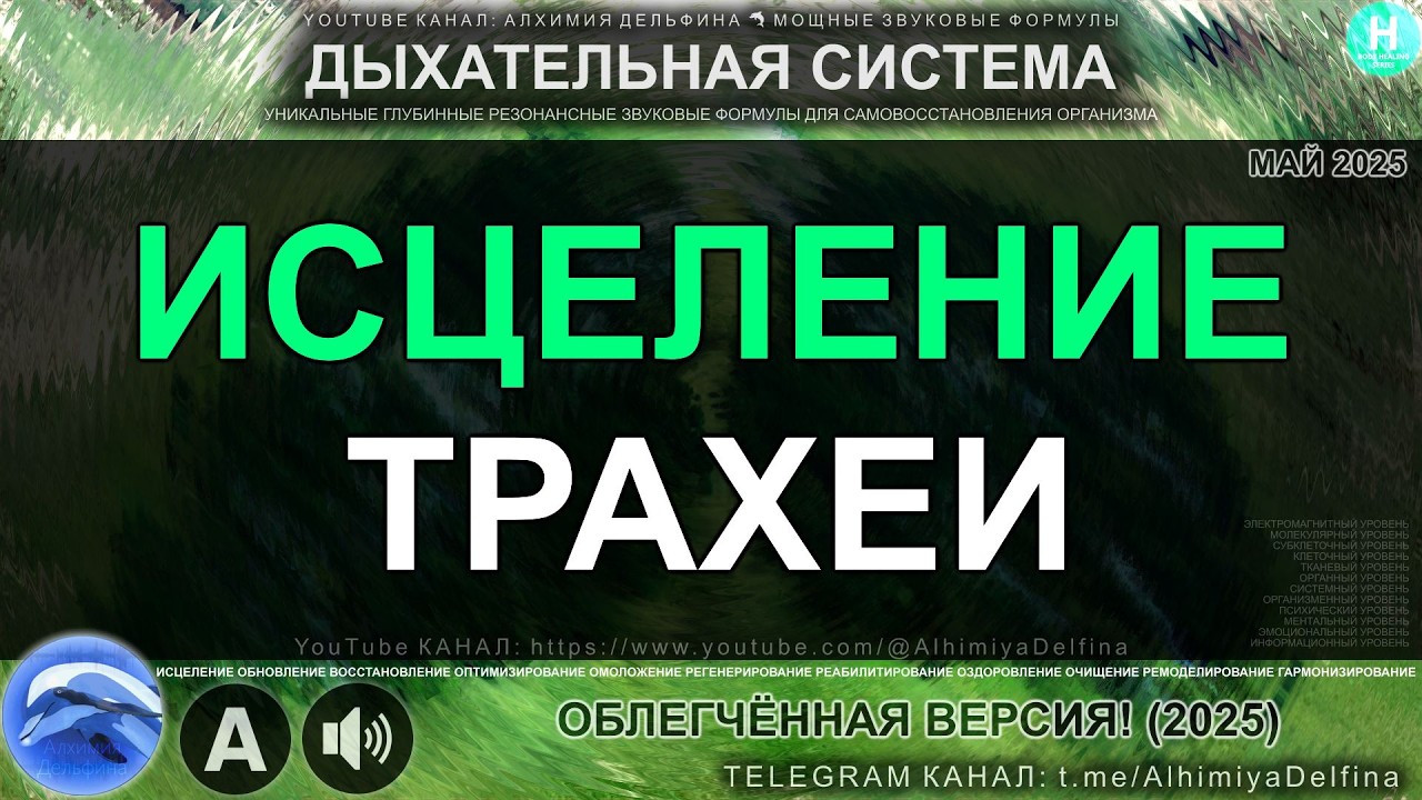 🌿 Глубокое Восстановление Трахеи 🌬️ Чистые Дыхательные Пути и Здоровое Горло