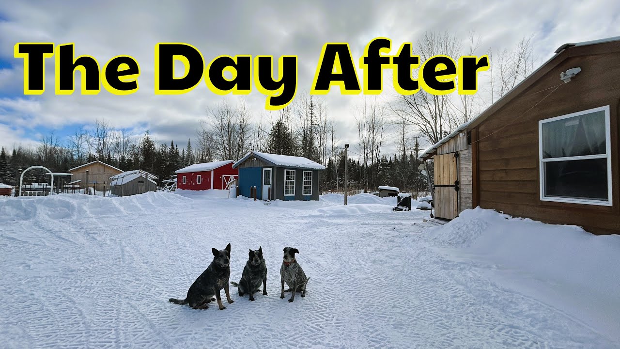 Maine Winter Reality: Snow Removal After a Major Winter Storm | Life Off Grid in Maine