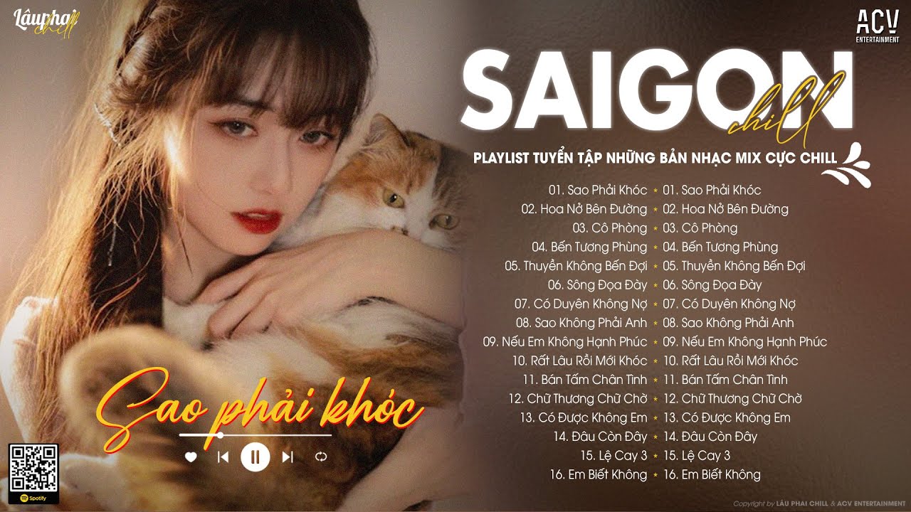 Chỉ Là Một Trận Mưa Giông Là Đàn Ông... Sao Phải Khóc (Bản Chuẩn TikTok) | Lâu Phai Chill