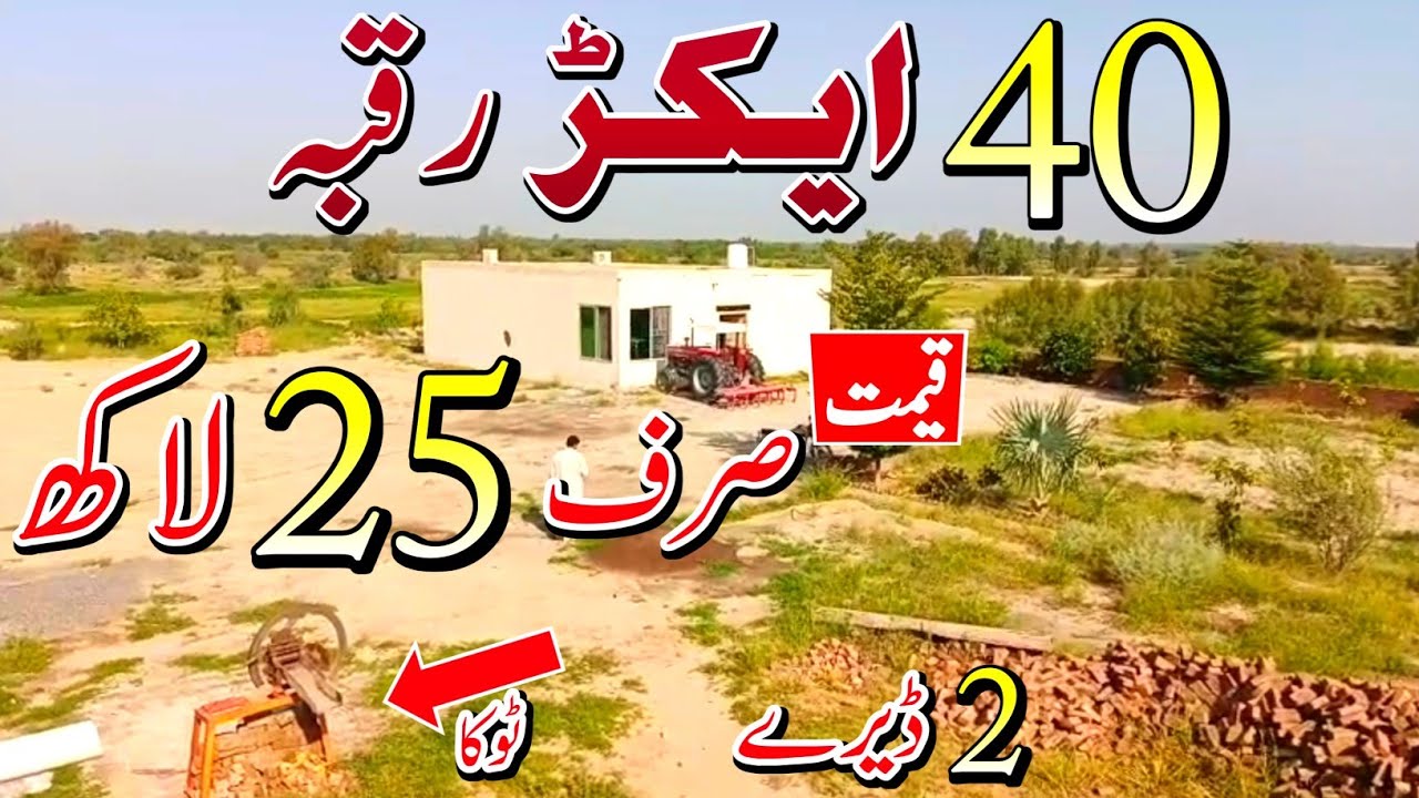 40 Acres Zameen for Sale in Punjab | Agricultural & Farming Land Pakistan | Episode 144