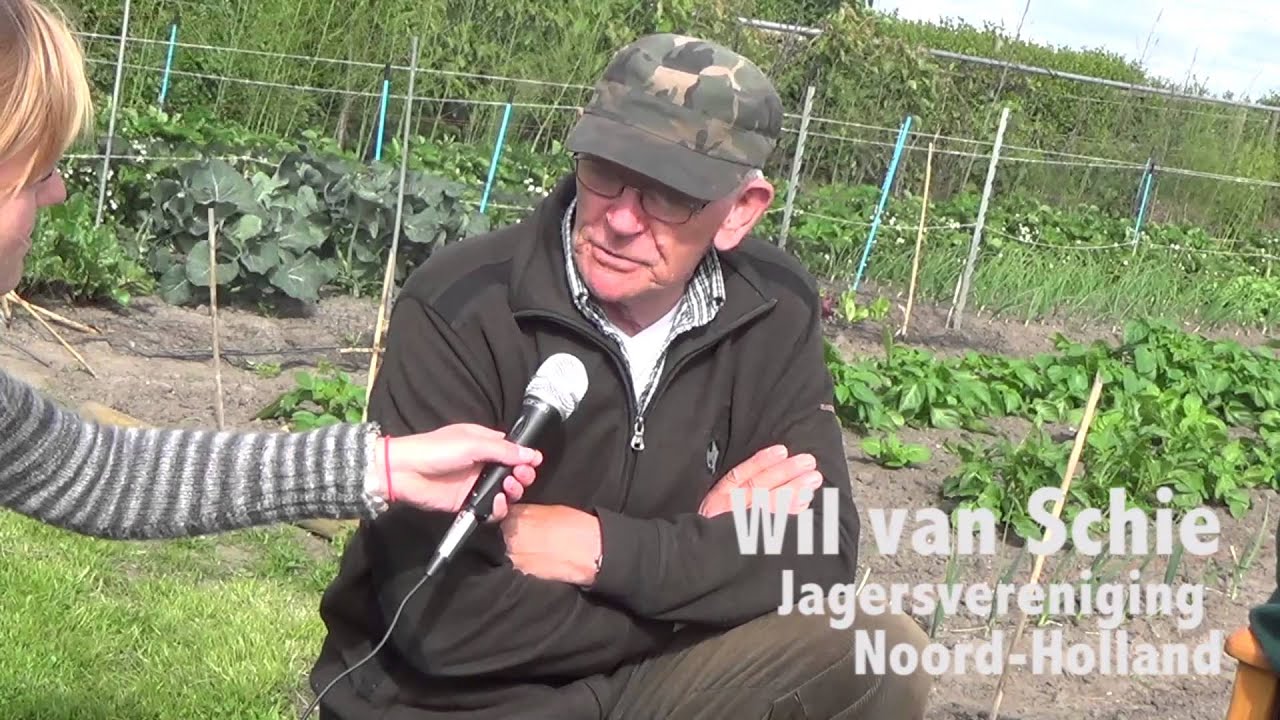 Ganzen vergassen?