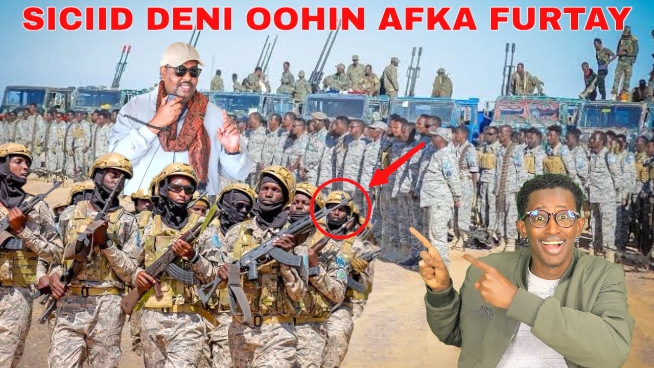 DEGDEG SICIID DENI AMRAY IN MAGACA MAJEERTEEN LACEEBEEYO,DHULBAHANTE AMRAY IN LACAAYO,DAGAAL CULUS.,