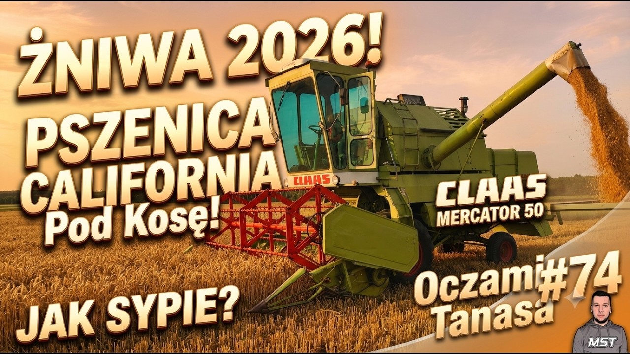 ŻNIWA 2026 😱 Rekordowy Plon czy Klapa?🌾Pszenica California & CLAAS Mercator 50! ★