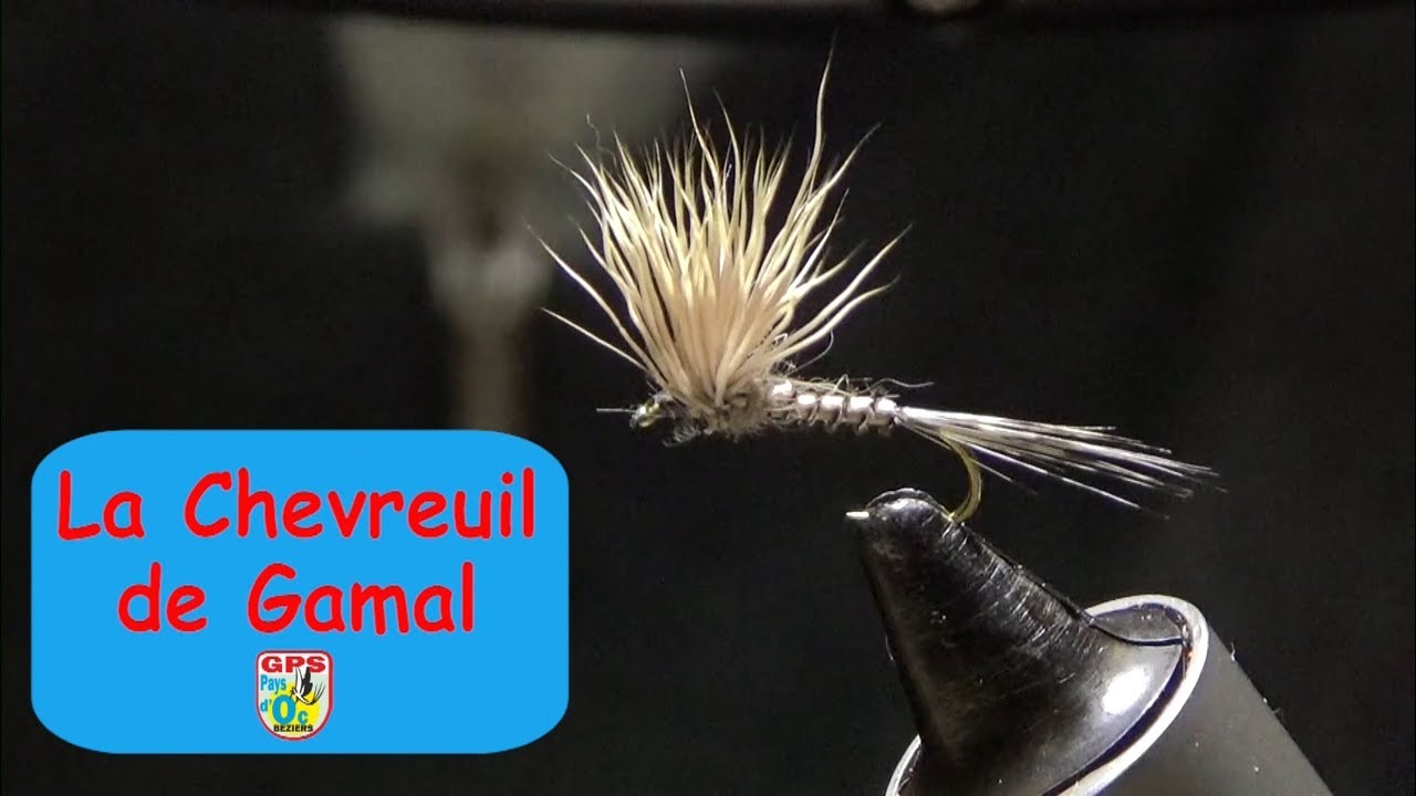 N°78 - La Chevreuil de Gamal, par Gamal Ou-Rabah 05 Mai 2019