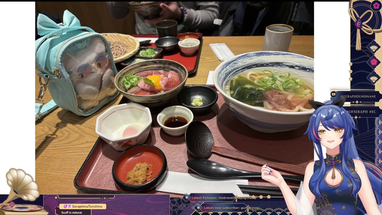 【Just chatting pt.6】Back from Hiatus! Talking about my Japan trip! | 17.01.26【TWITCH VOD】