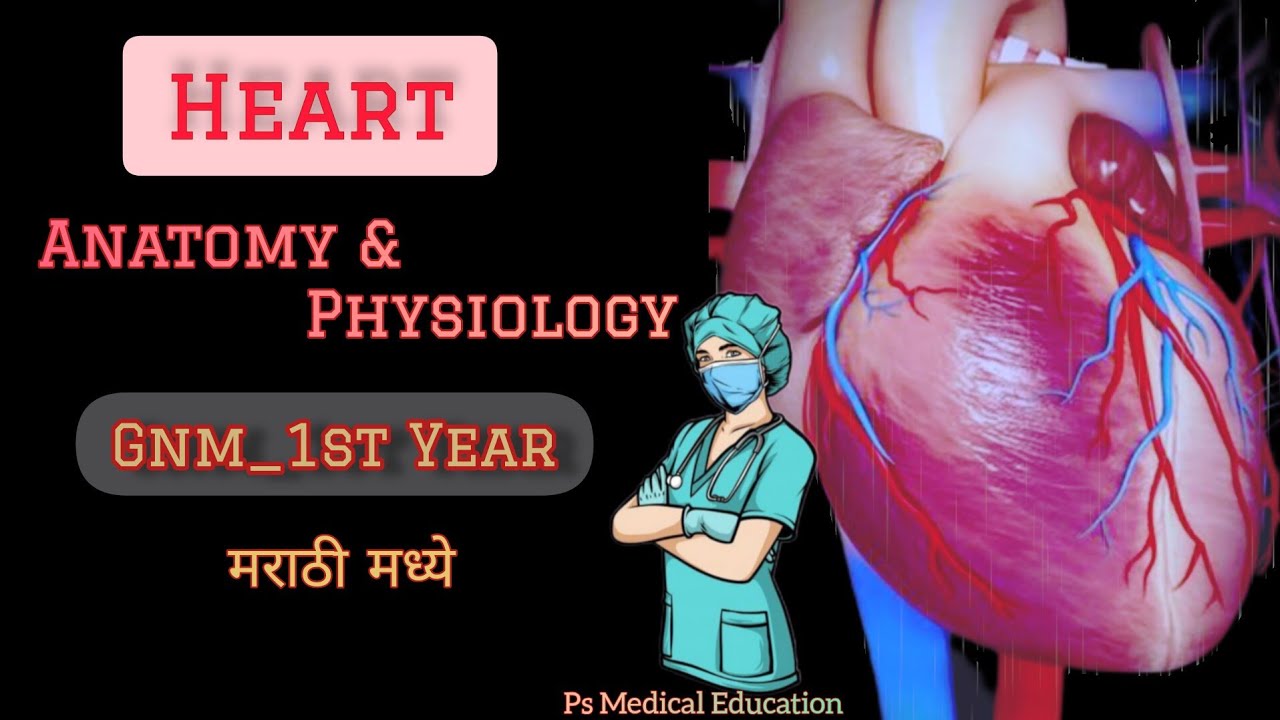 HEART || ANATOMY AND PHYSIOLOGY ||GNM 1ST YEAR || GNM NURSING LECTURE IN MARATHI ||
