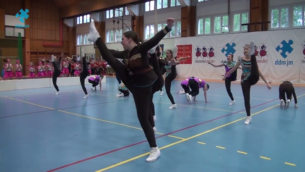 2022 06 04 AKCE Chodovské berušky / Alfa Fitness Pardubice / Noc v muzeu