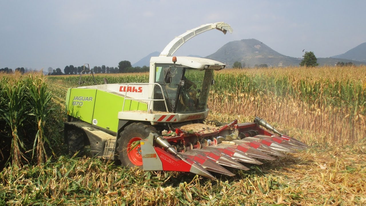 Claas Jaguar 870 - Pastone di mais 2018