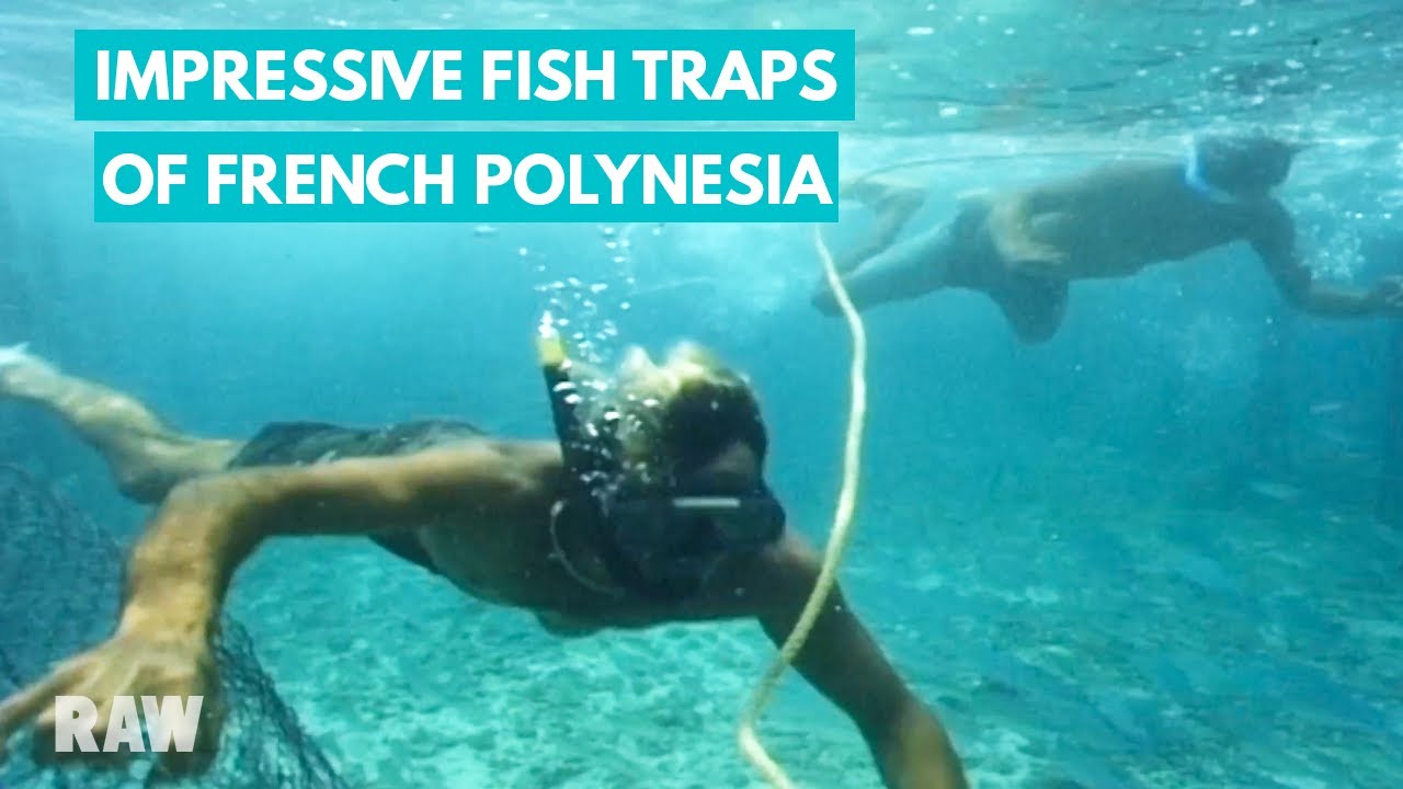 A day in the life of Polynesian fishermen: from the ocean to the market in Tahiti | FRENCH POLYNESIA