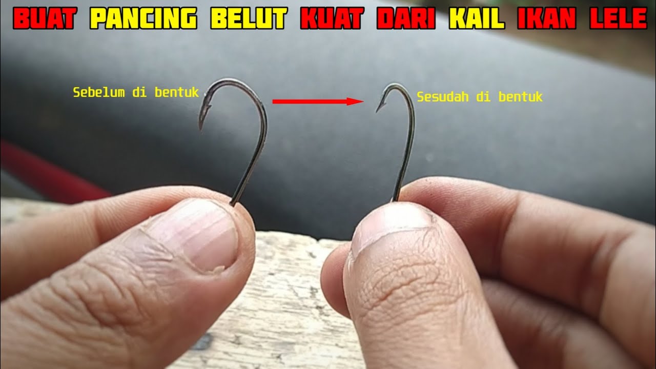 CARA BUAT PANCING BELUT SAWAH KOLAM DARI KAIL IKAN ❗ MUDAH DAN KUAT