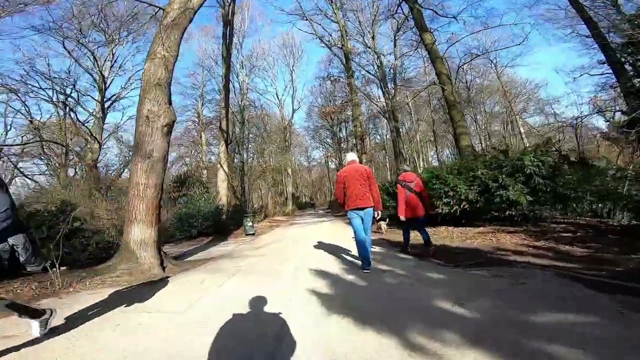 27022026 Großer Tiergarten, Berlin
