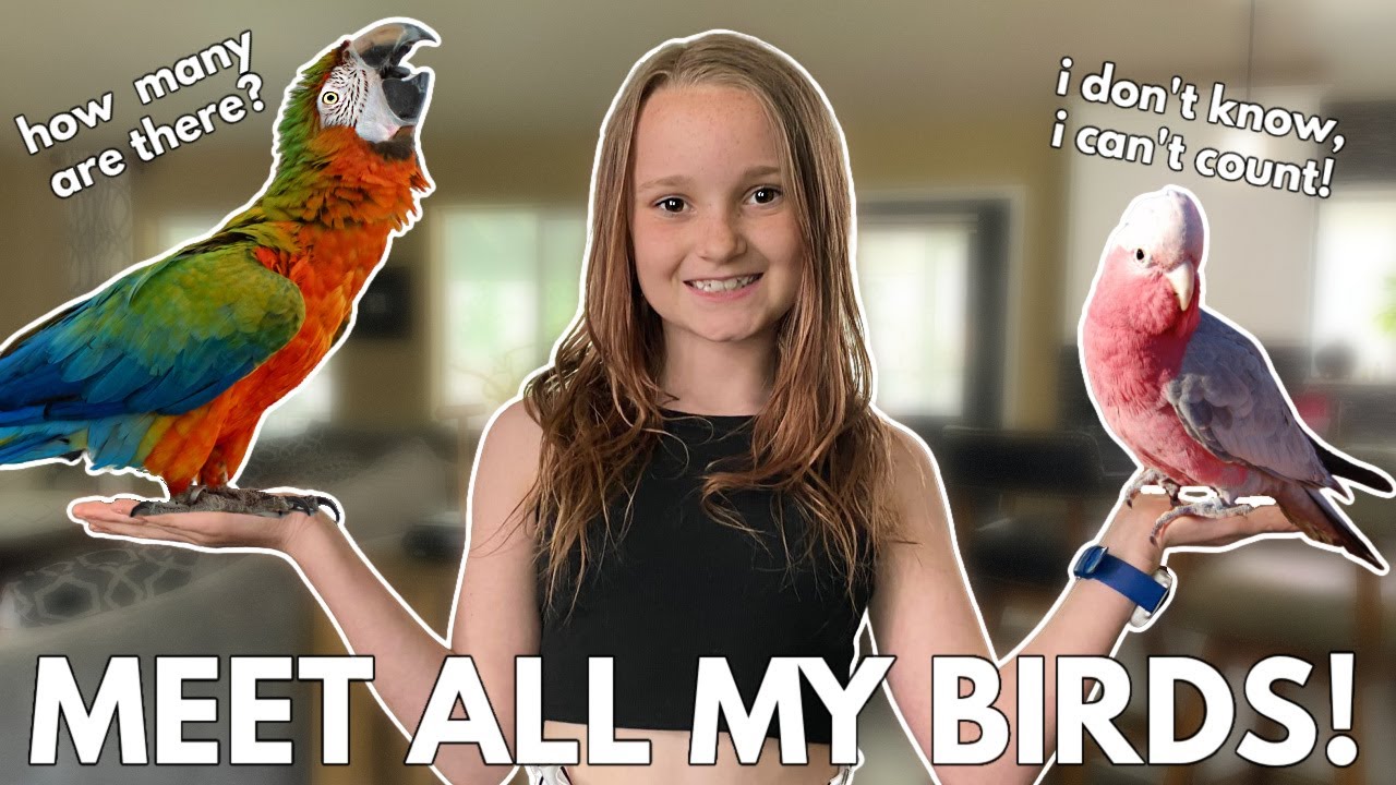 Meet ALL My Birds!