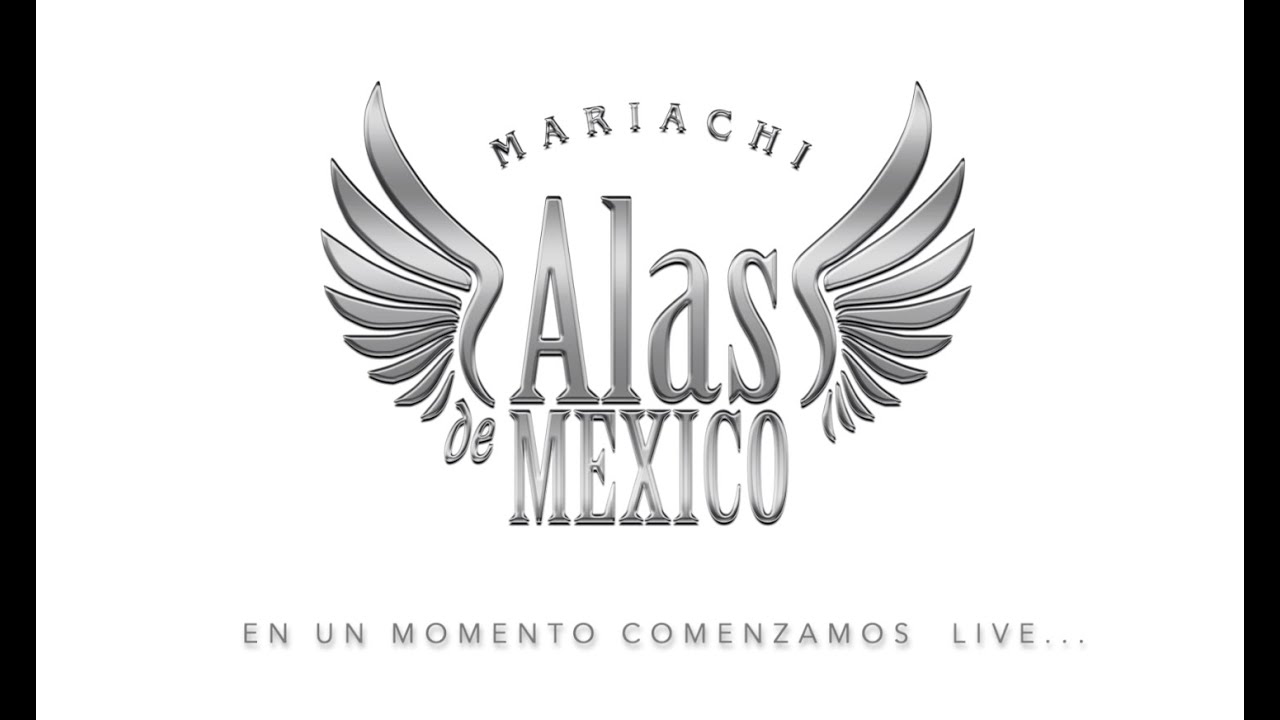 Show en Vivo 