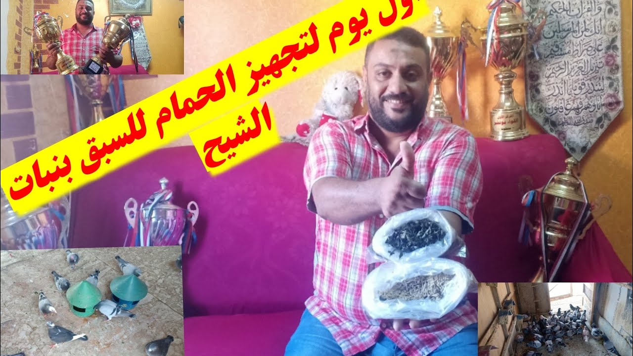 اول تجهيز سباق شهر 10 بي عشب الشيح الخطير تاسيس وتطهير المعده من الديدان وجميع امراض السلمونيلا