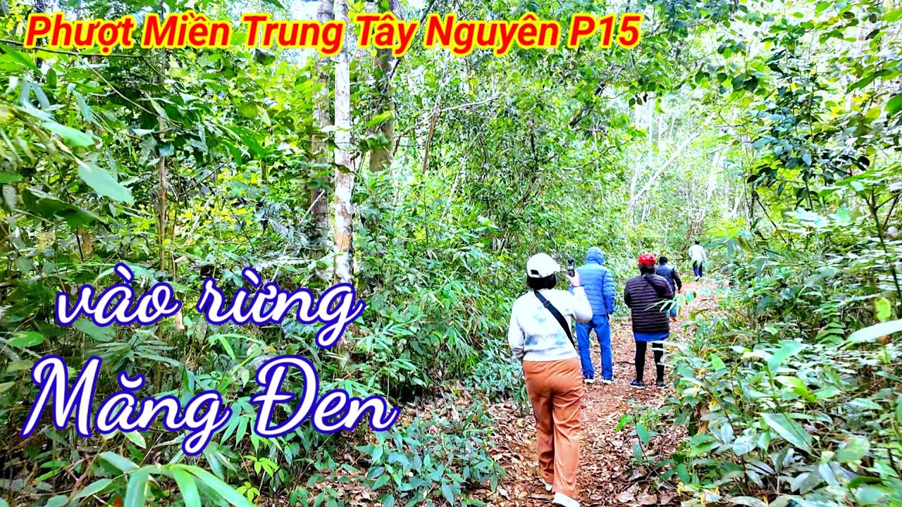 Du lịch Miền Trung Tây Nguyên P15. cùng các lão xuyên rừng Măng Đen 