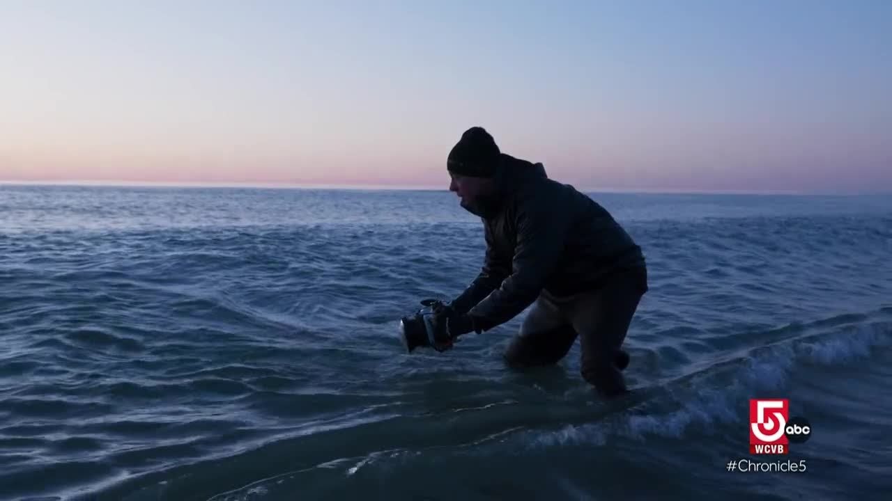 In the dreary off-season, Chatham's offerings will brighten your day