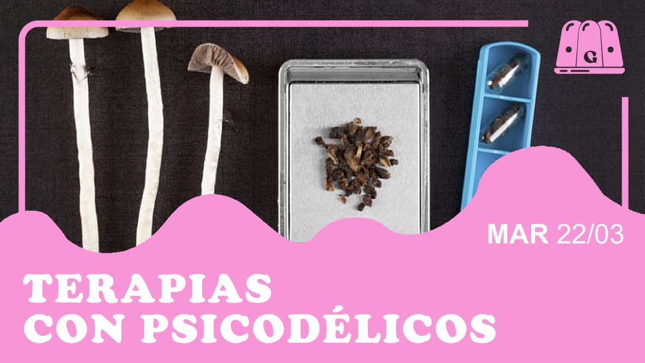 TERAPIAS CON PSICODÉLICOS