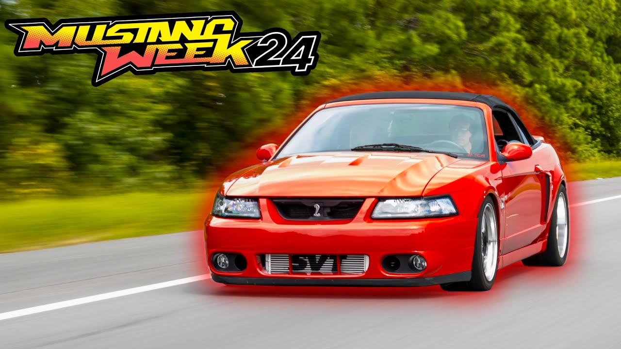 COBRAS TAKEOVER AT MUSTANG WEEK 2024!