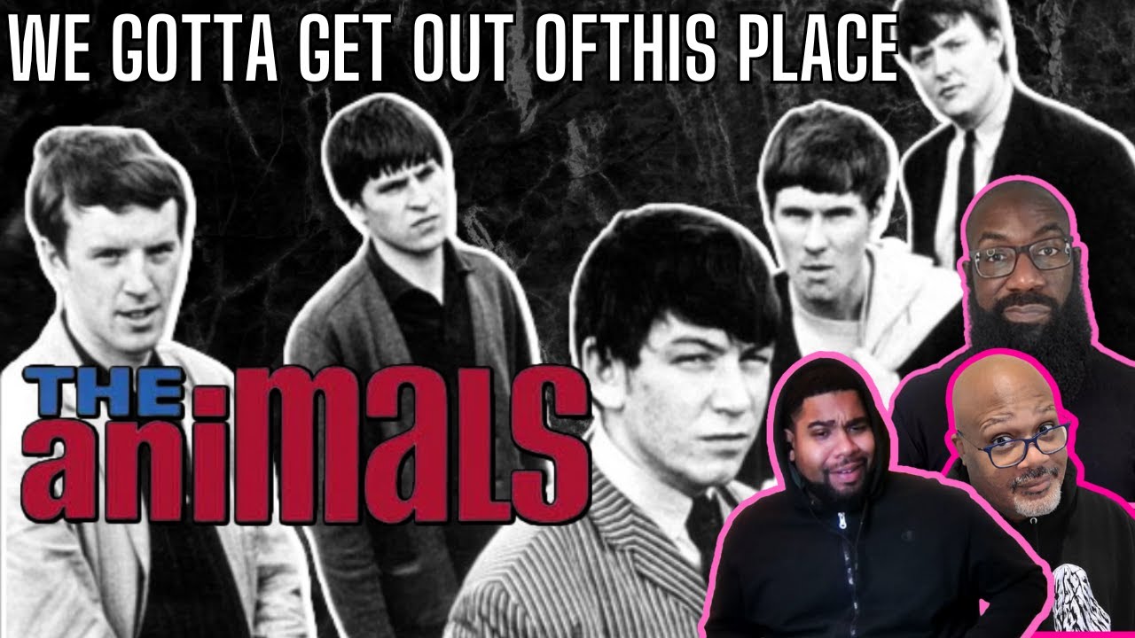 The Animals - 'We Gotta Get Out of This Place' Reaction! Frustrated in Life and It's Daily Grind!