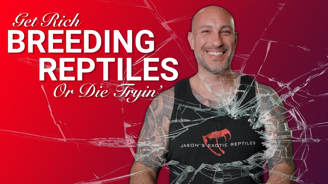 Quit Your Job to Breed Reptiles? The Math Behind It All