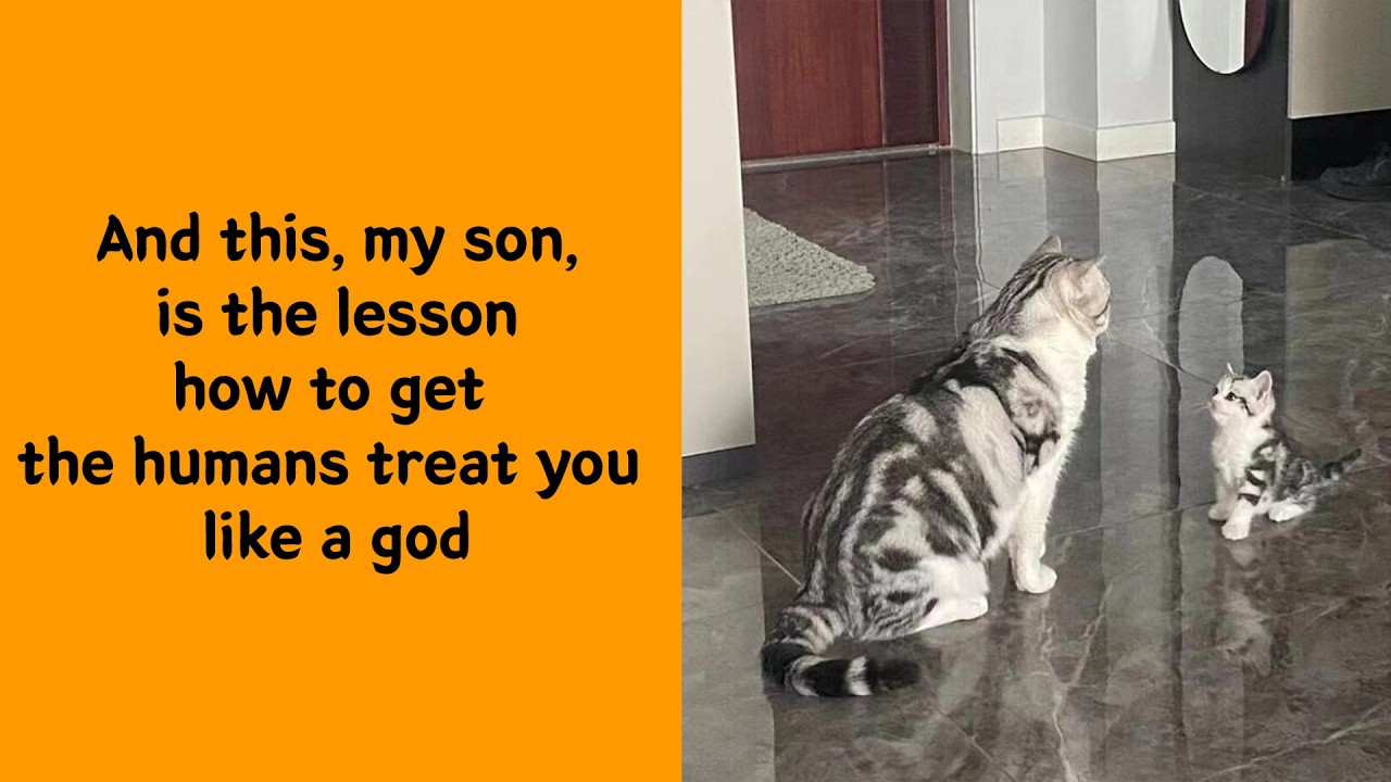 Warning: 50 Adorable Pets That Will Melt Your Heart