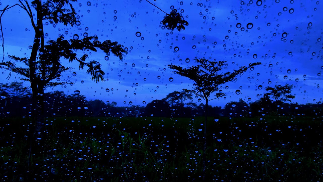 Rain Sounds & Rain On Window with for Deep Sleep 🌩️ Calm Rain | Dark Screen Rain for Sleep, Study