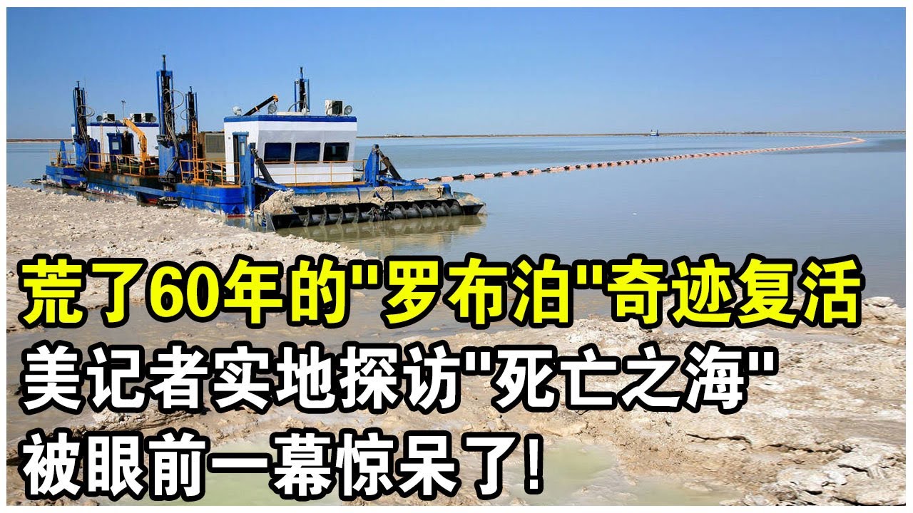 美記者實地探訪“羅布泊”，被眼前一幕驚呆了！荒了60年的死亡之海奇蹟“復活”？水從哪裡來的？