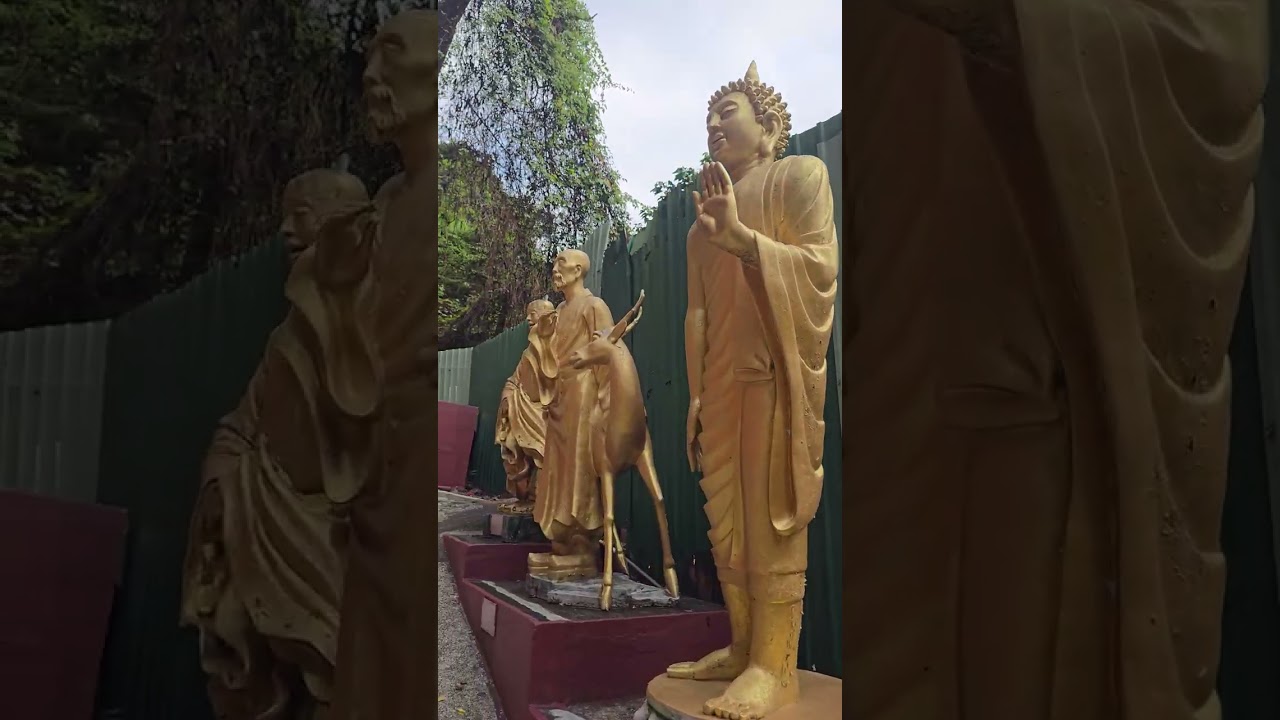 10.000 Buddhas Monastery - Sha Tin - Hong Kong (07.03.2026) 