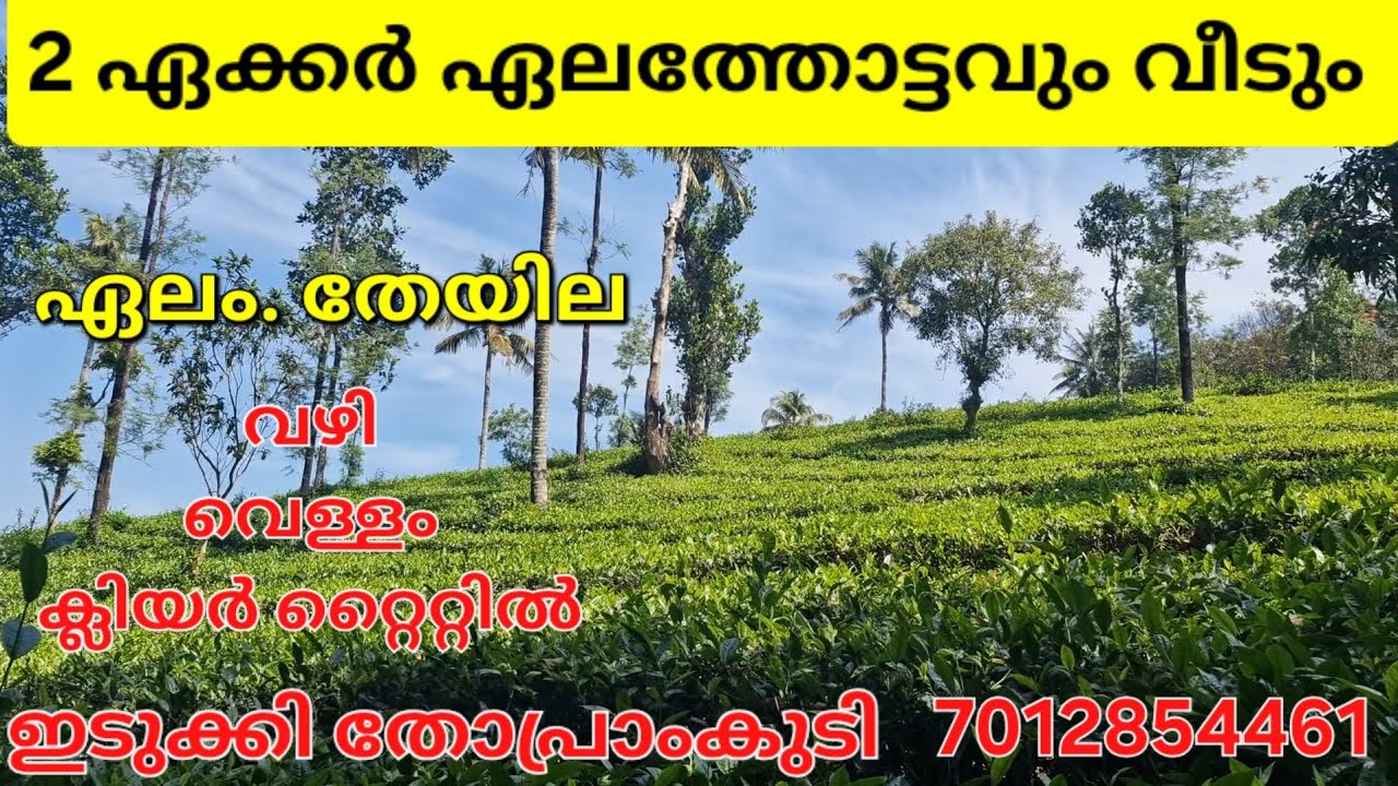 2 ഏക്കറും വീടും.ഏലം തേയില. വഴി വെള്ളം ക്ലിയർ റ്റൈറ്റിൽ. ഇടുക്കി തോപ്രാംകുടി 7012854461👇👇