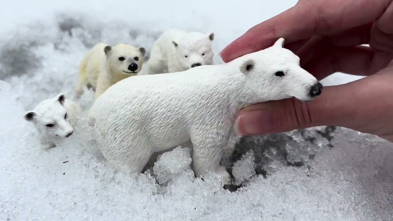 A Polar Bear Story|schleich|